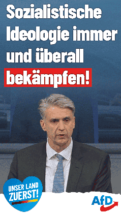 Bild: AfD Deutschland