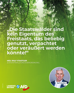 Bild: AfD Deutschland