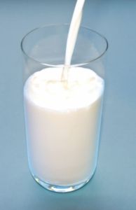 Milch: Spuren von Gentech-Futtermitteln gefunden. Bild: Thorben Wengert/pixelio.de