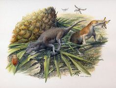 Die frühen Säugetiere Morganucodon und Kuehneotherium bei der Jagd. Diese Tiere haben im frühen Jura
Quelle: Bild: John Sibbick (idw)