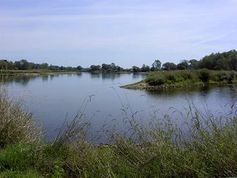 Die Mündung der Lausitzer Neiße in die Oder in Ratzdorf, Neißemünde. Bild: de.wikipedia.org