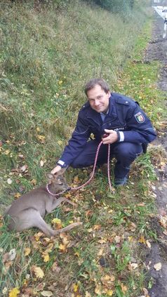 Warten auf den Jagdberechtigten