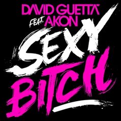 DAVID GUETTA Sexy Bitch