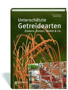„Unterschätzte Getreidearten. Einkorn, Emmer, Dinkel & Co."
Quelle: Longin / Miedaner (idw)