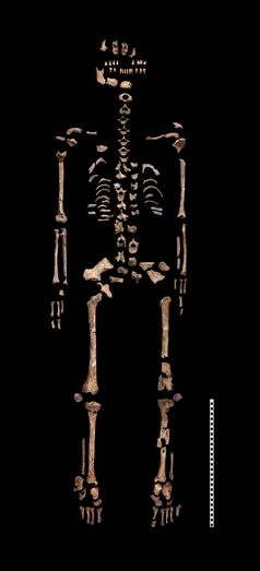 Das Skelett der Heiligen vom Hemmaberg. Die Frau war zwischen 35 und 50 Jahre alt und lebte im 1. oder 2. Jahrhundert.
Quelle: © Niki Gail/ÖAI/ÖAW (idw)