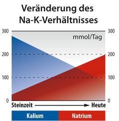 Die Veränderung des Natrium(Na)-Kalium(K)-VerhältnissesBild: Dr. Jacobs Institut Fotograf: Dr. Jacobs Institut