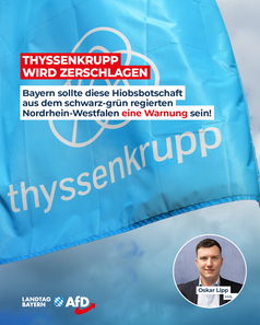 Bild: AfD Deutschland
