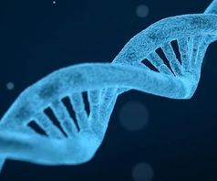 DNA-Doppelhelix: 3D-Struktur begünstigt Distrophie.