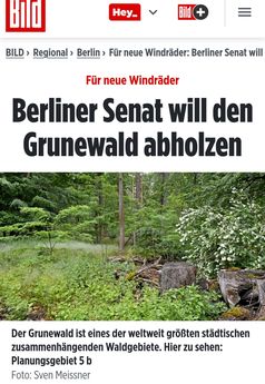Der Grunewald soll für Windräder abgeholzt werden - Natuschutz kontra Klimaschutz (Symbolbild)