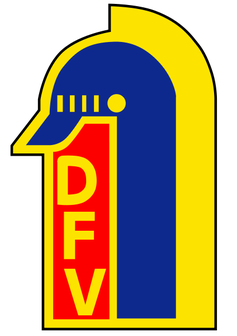 DFV Logo