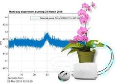 "Phytl Signs Explorer": Informationen via Handy abrufbar. Bild: vivent.ch