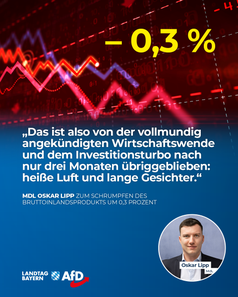 Bild: AfD Deutschland