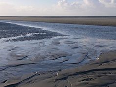 Wattenmeer wird Weltnaturerbe. Bild: Hans-Ulrich Rösner / WWF