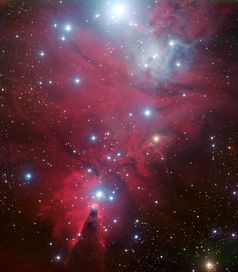 "Christmas Tree"-Sternhaufen, aufgenommen mit dem ESO Very Large Telescope
Quelle: (Credit: ESO) (idw)