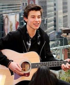 Shawn Mendes (2014)