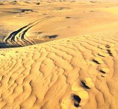 Hier ist eine "Klimaneutrale" Landschaft zu sehen. Ohne Kohlenstoffdioxid gibt es kein Leben auf dem Planet Erde (Symbolbild)