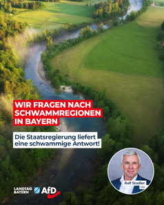 Bild: AfD Deutschland
