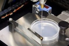 "Produktion" einer menschlichen Zelle: 3D-Drucker in Aktion. Bild: organovo.com