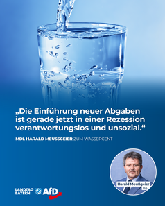 Bild: AfD Deutschland