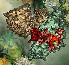 HI-Virus: vergleichbar mit W32/Sality-Trojaner. Bild: University of Nebraska