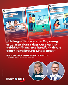 Bild: AfD Deutschland
