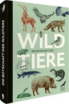 Bild: Buchcover