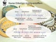 Kaviar-Etiketten richtig entziffern (c) WWF Jürgen Matijevic 
