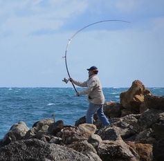 Angler: Menschen und Fische gleicher als gedacht. Bild: pixelio.de, R. Eckstein