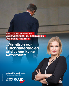 Bild: AfD Deutschland