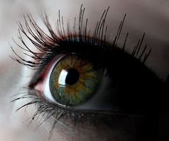 Auge: Gesundheitszustand via Smartphone erhoben. Bild: Spreckelmeyer/pixelio.de