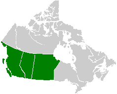 Provinzen Westkanadas. Von West nach Ost: Britisch Columbia, Alberta, Saskatchewan und Manitoba