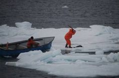 Erschlagen, erschossen, ertränkt: Robbenjagd in Kanada Bild: Sea Shepherd