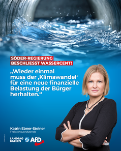 Bild: AfD Deutschland