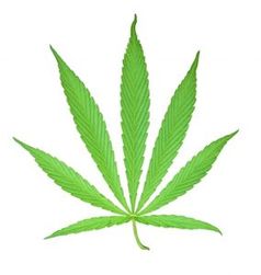 Cannabis: Wirkung wissenschaftlich geklärt. Bild: pixelio.de/manwalk