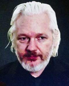 Julian Assange (2015), Archivbild