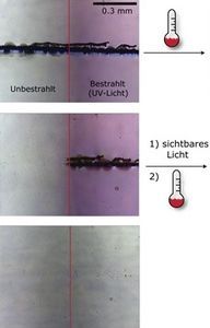 Licht-Bestrahlung heilt Beschädigungen. Bild: Stefan Hecht, hu-berlin.de