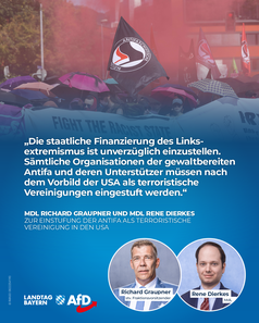 Bild: AfD Deutschland