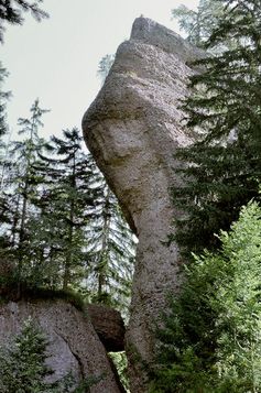 Felsentor bei der Rigi – eine typische Nagelfluh-Formation.
Quelle: © Robrot/WikiCommons (idw)