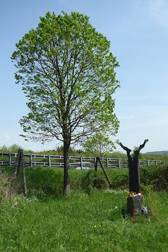 Gedenkstätte für Silke Bischoff an der Autobahn A3 bei Aegidienberg: Neben der Linde steht die von dem Bildhauer Franz Hämmerle aus Windach gestaltete Stele.