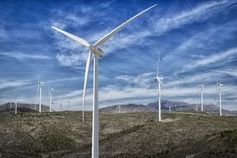 Windpark: Turbinen machen Windschatten.