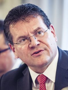 Maros Sefcovic (Maroš Šefčovič) (2017)