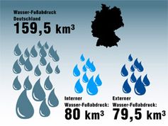 Grafik: WWF