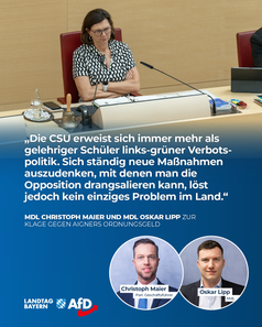 Bild: AfD Deutschland
