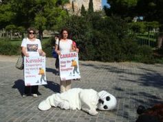 PETA demonstriert in Athen gegen das größte Abschlachten von Meeressäugern weltweit. Bild: PETA