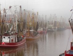 Fischereihafen: EU-Flotten fahren um die ganze Welt. Bild: Markus Kräft/pixelio.de)