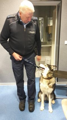 Malamute-Hündin "Aicha" mit Polizeihauptmeister Ewald Koch vom Bundespolizeirevier Fulda. Bild: Bundespolizei