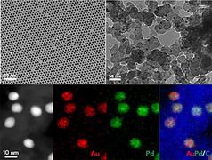 Gewebe und Nanopartikel unter dem Mikroskop.