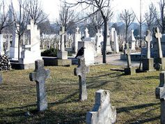 Friedhof: Ein super Ort für Weihnachtsfeiern?