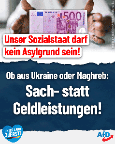 Bild: AfD Deutschland