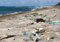 Überall auf der Welt: Plastikmüll am Meeresstrand. Bild: W. Weitlaner